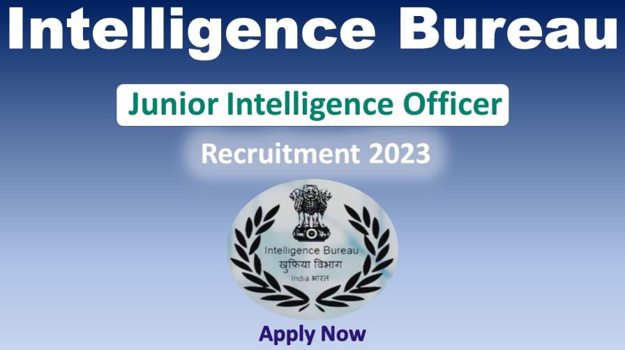 IB Junior Intelligence Officer vacancy