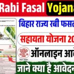 Bihar Rabi Fasal Yojana 2025 : बिहार राज्य रबी फसल मुवावजा सहायता योजना 2024-2025 ऑनलाइन शुरू जाने पूरी जानकारी