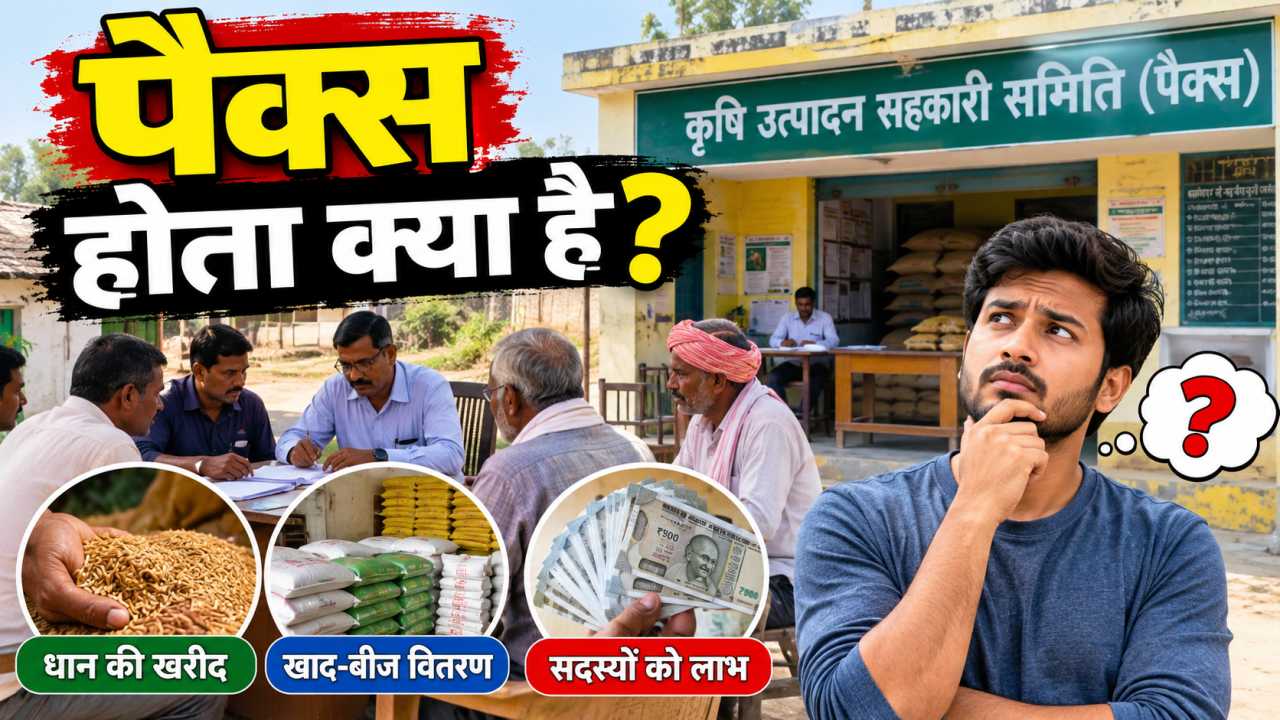 पैक्स होता क्या है